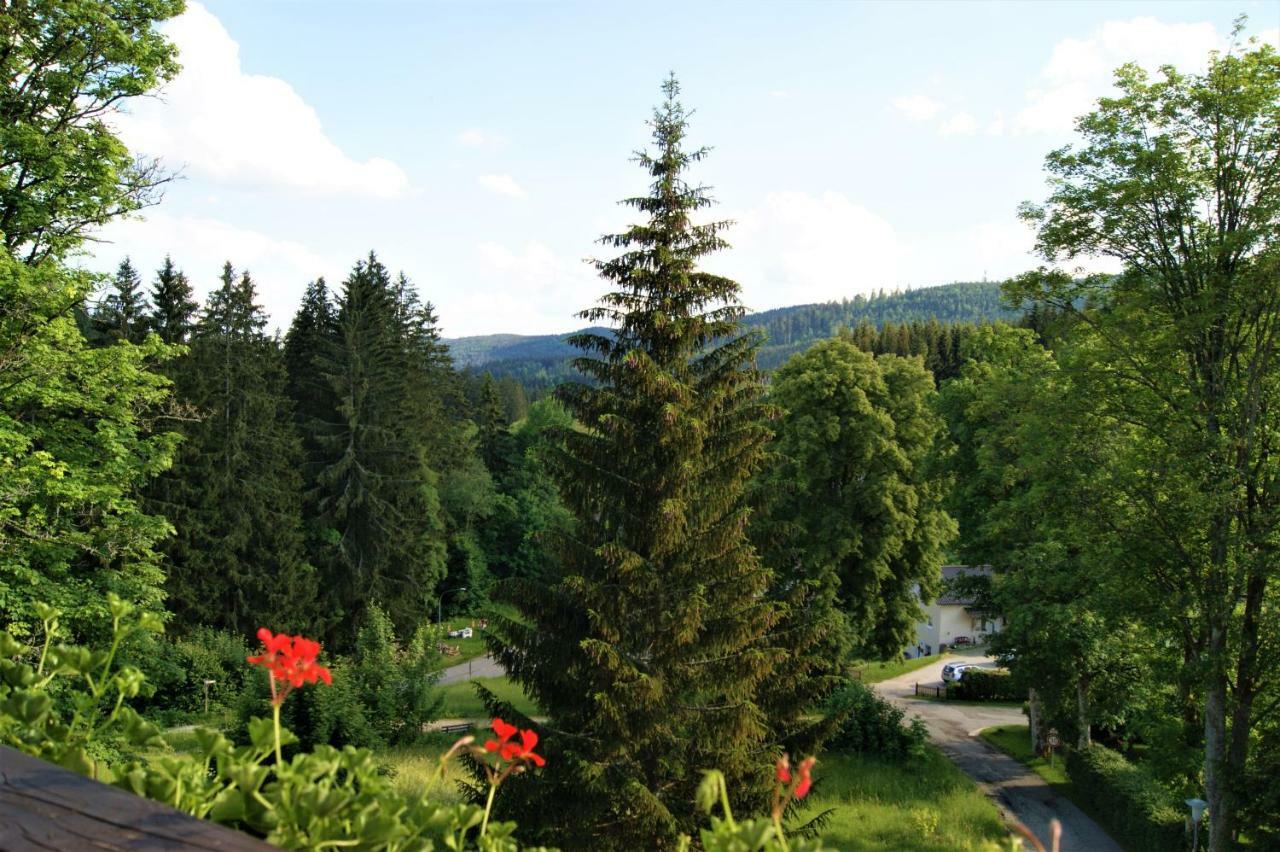 Penzion Sumavacek Bayerisch Eisenstein Extérieur photo