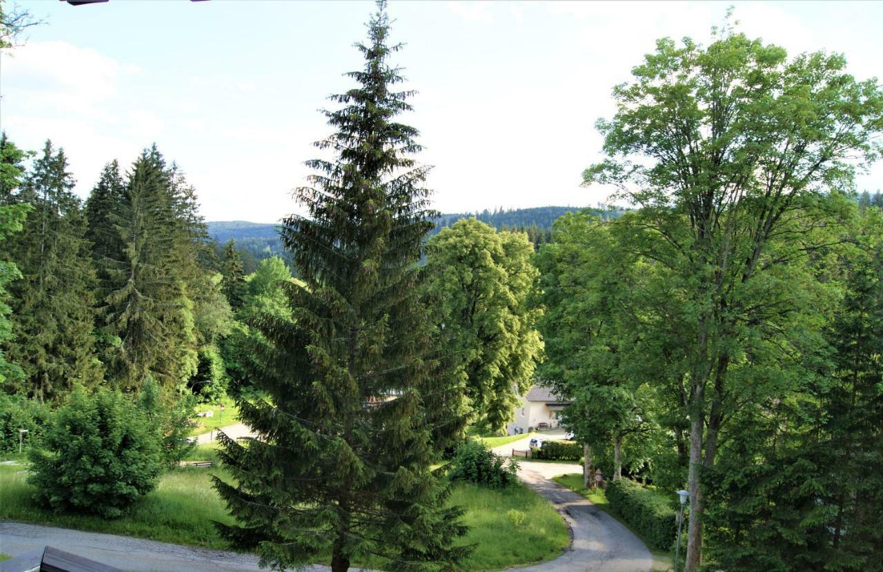 Penzion Sumavacek Bayerisch Eisenstein Extérieur photo