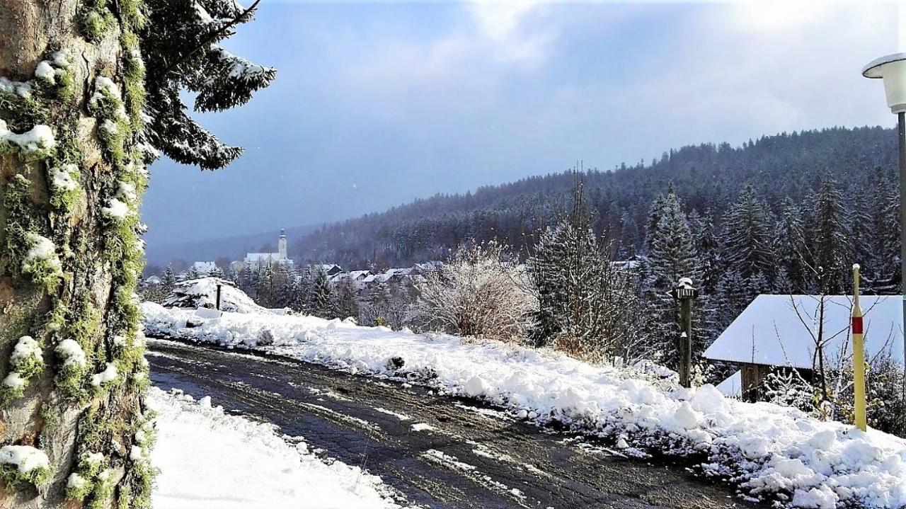 Penzion Sumavacek Bayerisch Eisenstein Extérieur photo